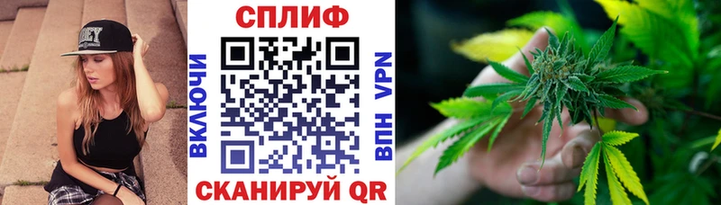 Конопля план Бородино